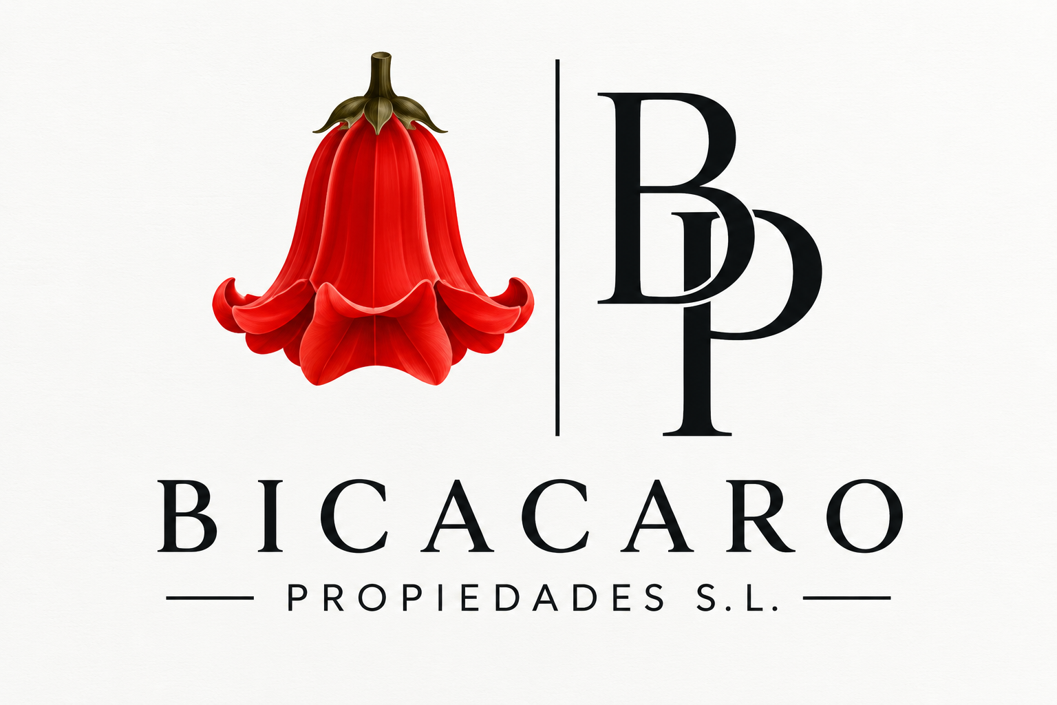 Bicácaro Propiedades SL